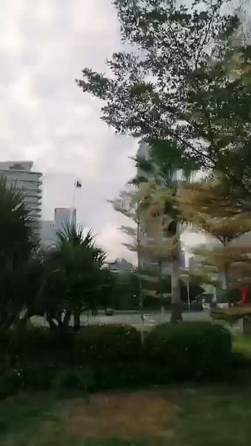 12月6日福建的风景
