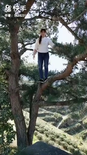 牛什么牛