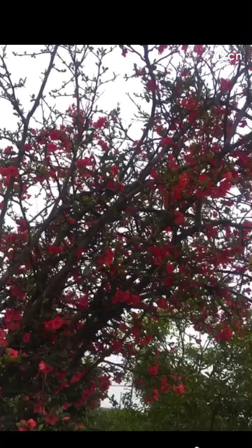 美美哒