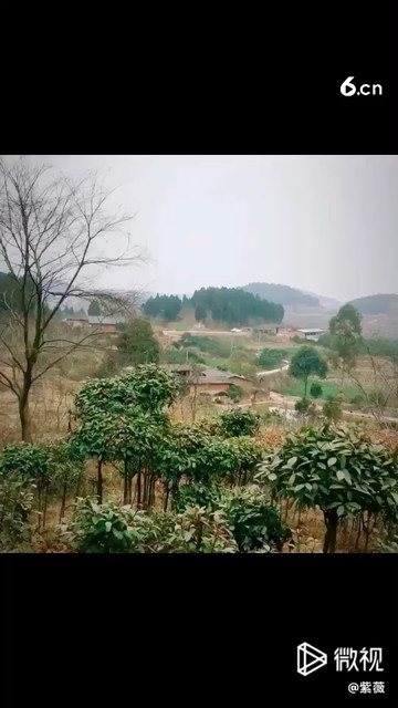 我的老家