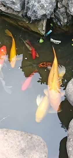 ♬默默✨小蛮宝☞🌜主播照片