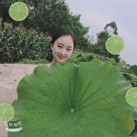 七一一求陪伴主播照片