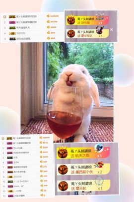 ❤️菟菟橴主播照片
