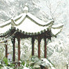 西宁龙江汽配海报