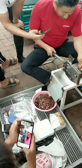 鲜茸交易市场