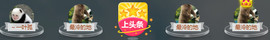 百变玲姐主播照片