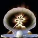 胖哥t0海报