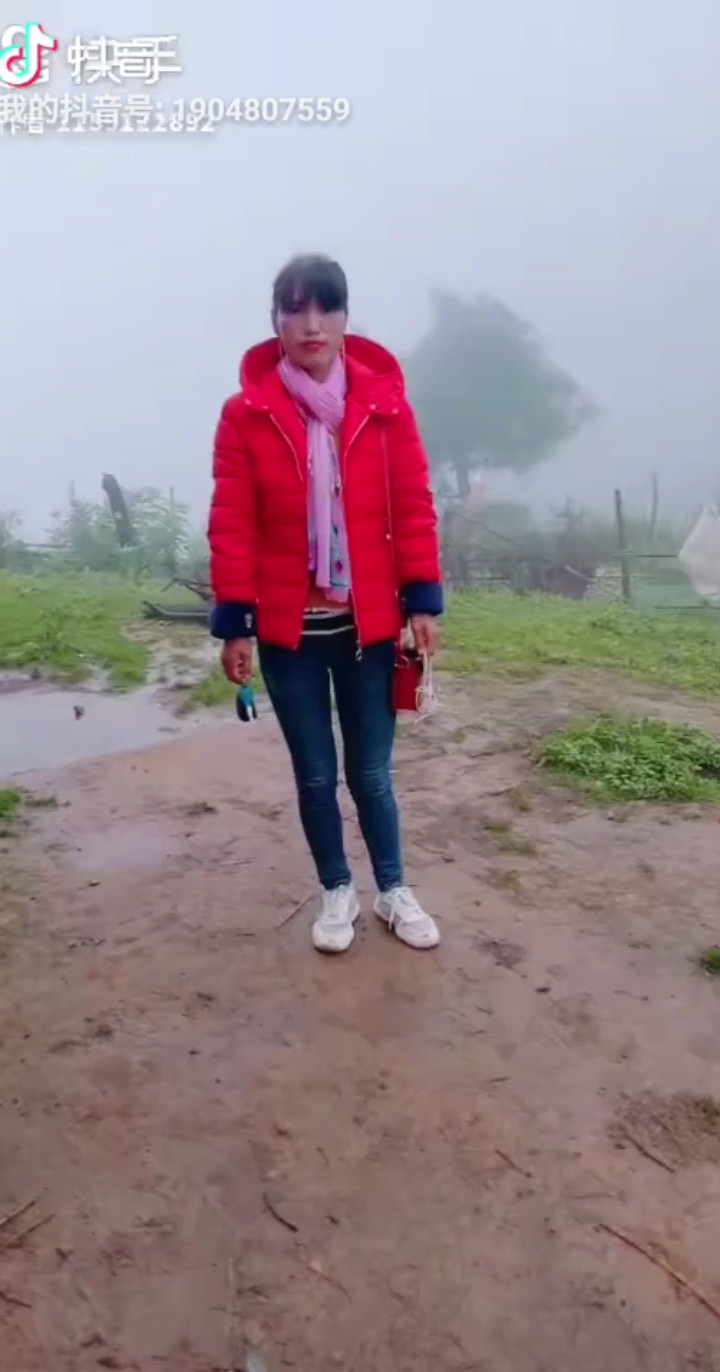 相思桃花雨