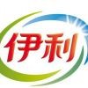 牛奶还是伊利的好