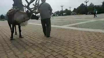 俄罗斯街上转