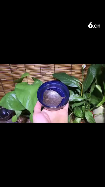 喜欢的朋友来