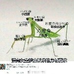 哆啦A梦の口袋