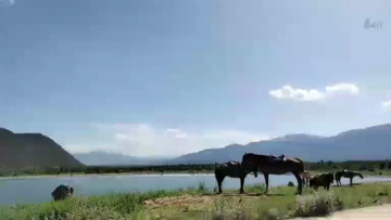 美不胜收啊
