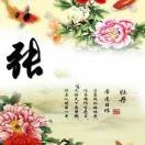 张金佩