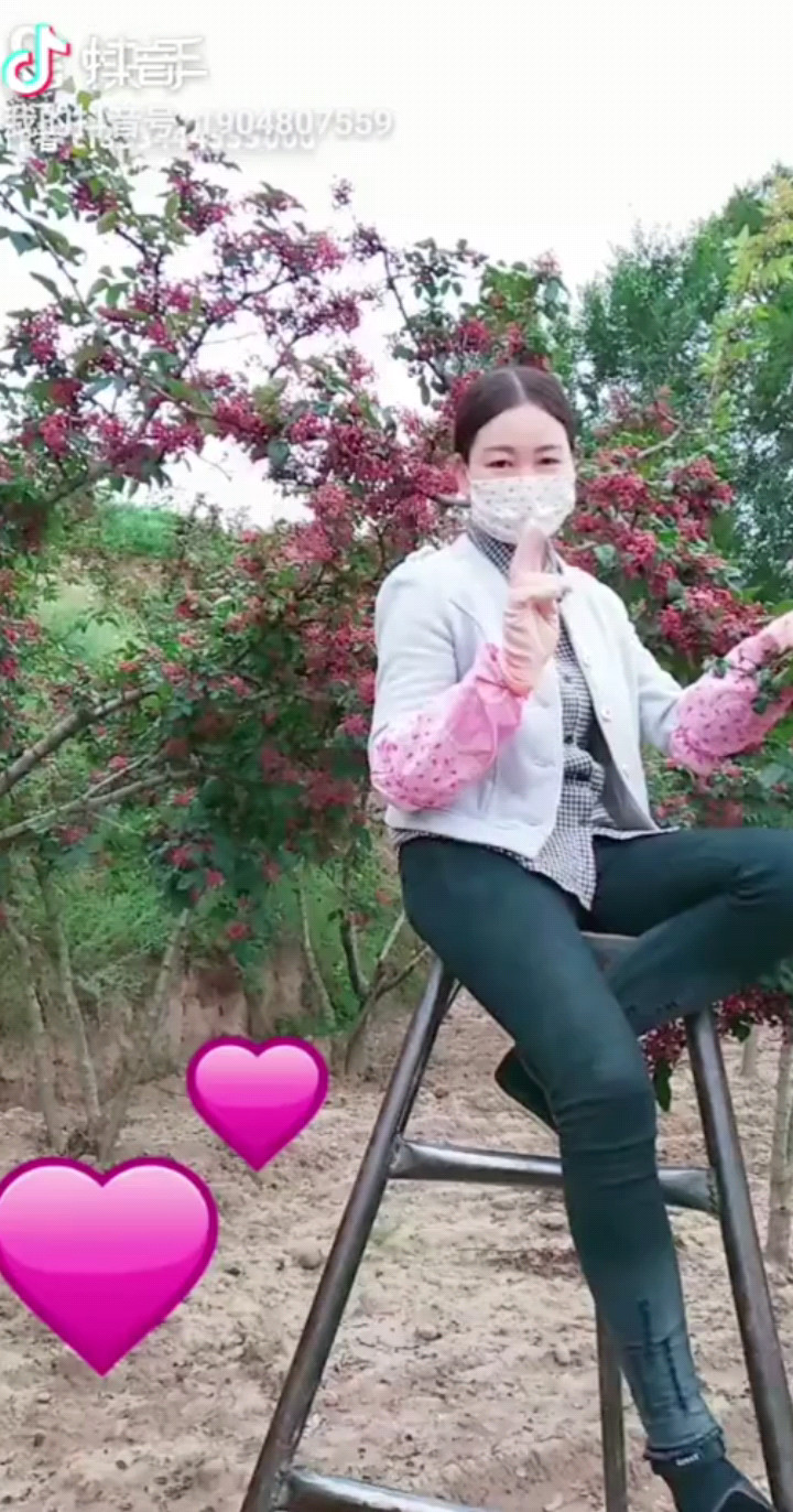命运的无奈