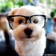 不要走真好