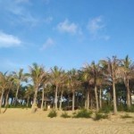 剑笑天下海报