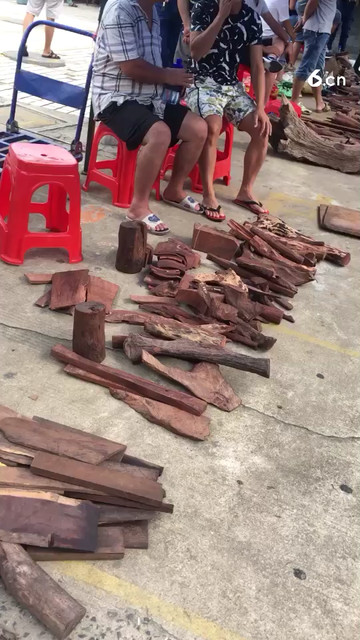 海南黄花梨原材料赶集日恢复正常