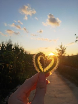 ღ瑋玮主播照片