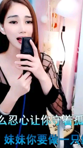 8068