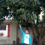没钱又没币了，，，