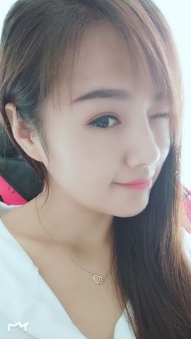 海鸽晚上见主播照片