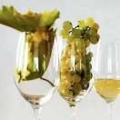 葡萄酒专卖