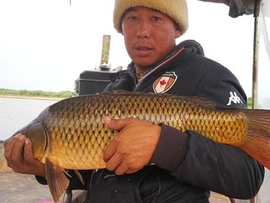 洪欣1主播照片