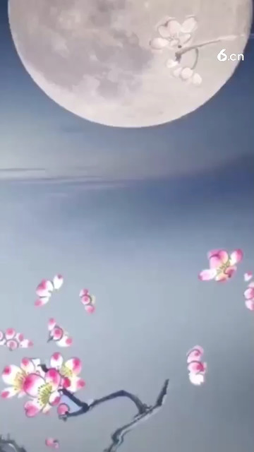 谁说外国的月亮比中国圆