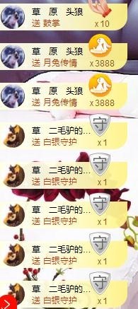 歌后阿茹娜主播照片