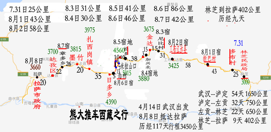 熊大楼兰甘肃宁夏内蒙的图片