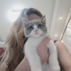 请还我棒棒糖吧主播照片