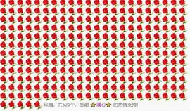 喵崽小花猫主播照片