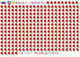喵崽小花猫主播照片