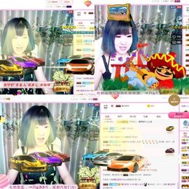 一只雁~主播照片