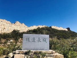 京城少爷🇨🇳敬礼主播照片