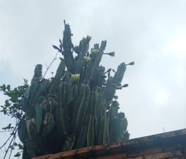 ♬默默✨小蛮宝☞🌜主播照片