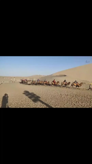 沙漠骆驼🐫