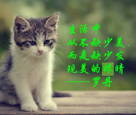 დ释怀დ主播照片