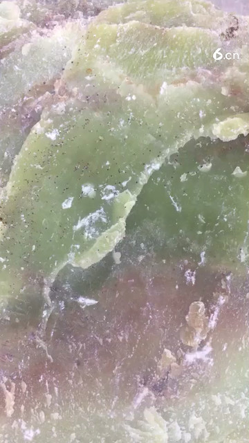 这猪肉贵