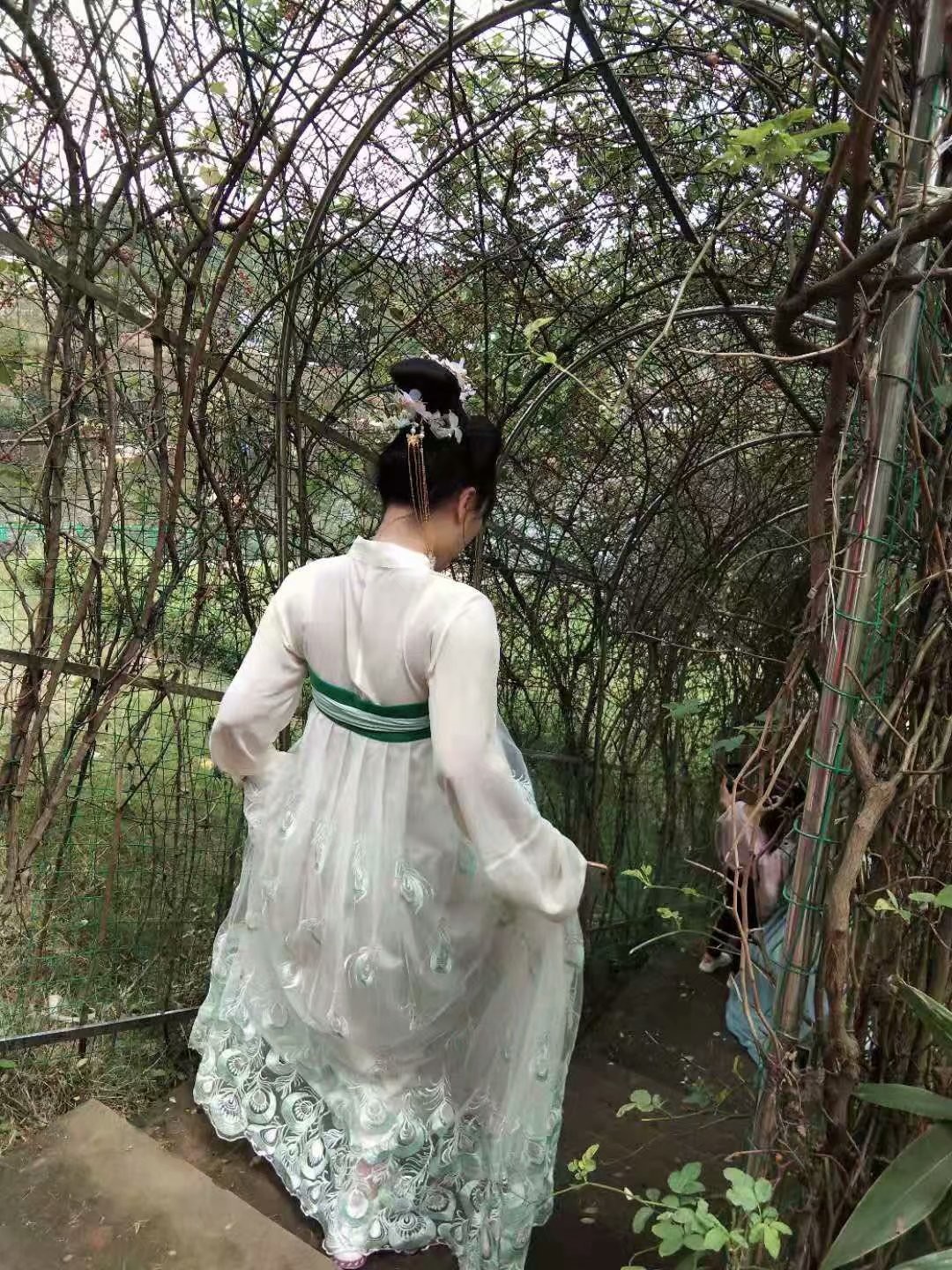 っღ.泡．沫。的图片