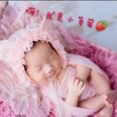 辉哥の薇ꦿ᭄゛