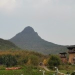 佛系☺️