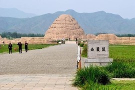 实力决定话语权主播照片
