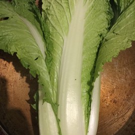新人21😌主播照片