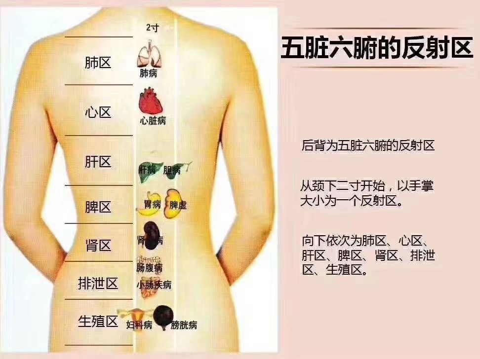 艾灸养生明火控温控烟的主播照片