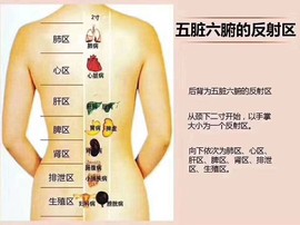 艾灸养生明火控温控烟主播照片