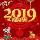 随风随缘n5
