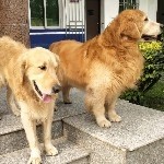 看下~马上就走的头像