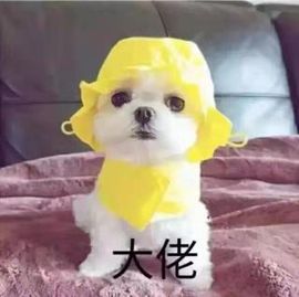 高脚凳主播照片